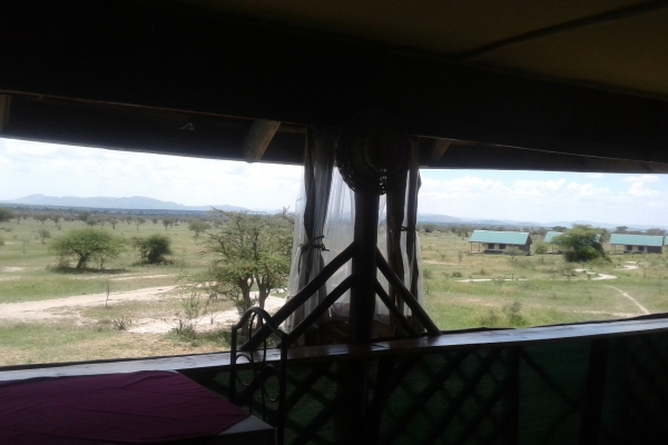 Hotel Zebra Kemang’ore Bush Tented Lodge (Mugumu)